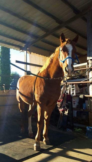 12319649_898040891966_1351124917_n