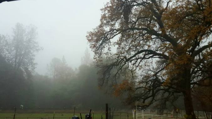 12345389_900052126436_18462943473301560_n