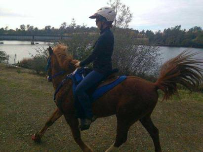 12345420_898843433666_8829082393316659688_n