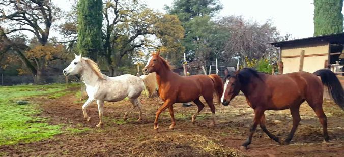 12357078_899785031696_1784005593883991246_o