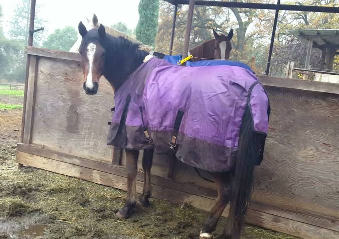 12365885_899879222936_9148928965494529355_o