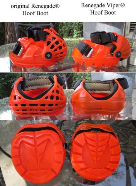 11008453_1172989296045718_6703042858289041230_n