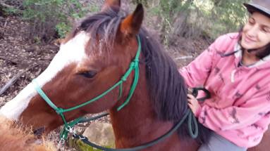 12493874_906650143956_436646371719397914_o