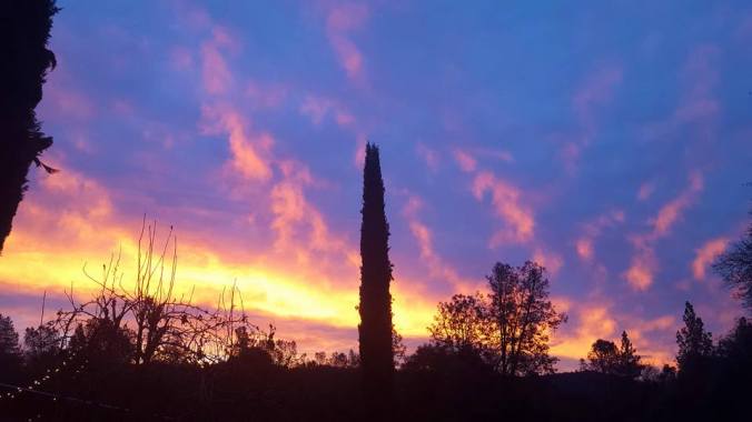 12507620_906420608946_7436601959824289476_n