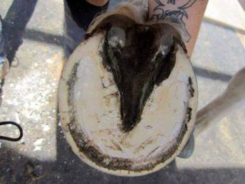 1663_906670952256_1525065359855727307_n