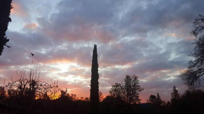 1916088_904491430036_840956119098047580_n