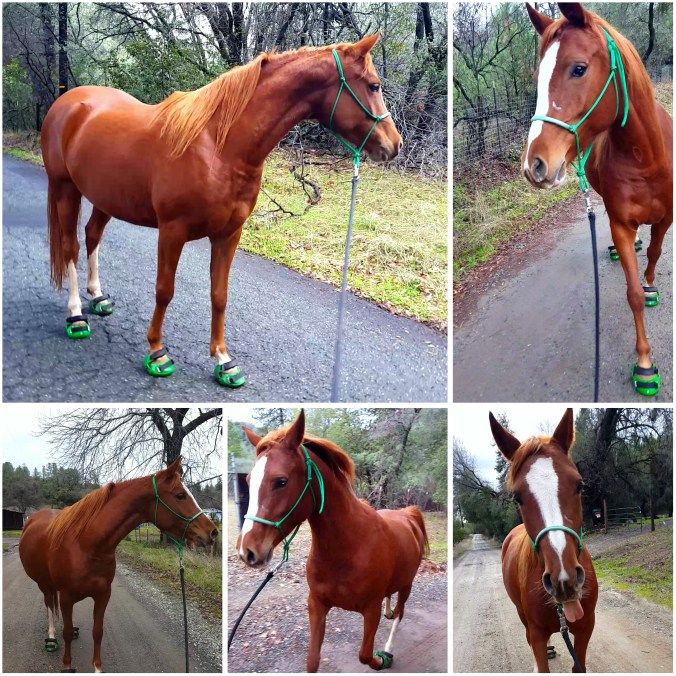 PhotoGrid_1452376012930