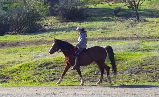 12646844_909330657186_2037988591362093316_o