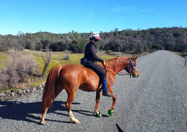 12646918_912090062316_8433733414068553649_o