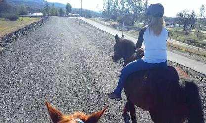 12657975_912090092256_7442714852910279409_o