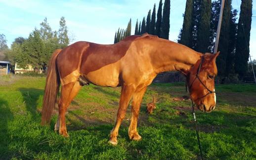 12694615_913295391826_6930708583904995645_o