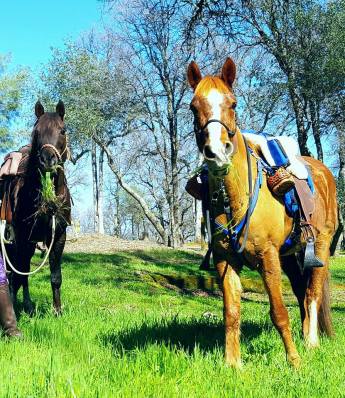 12744009_914632242766_2061920665487496195_n