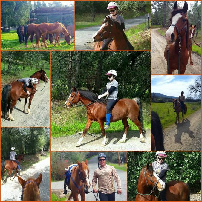 12745973_915361406516_143661700608550192_n