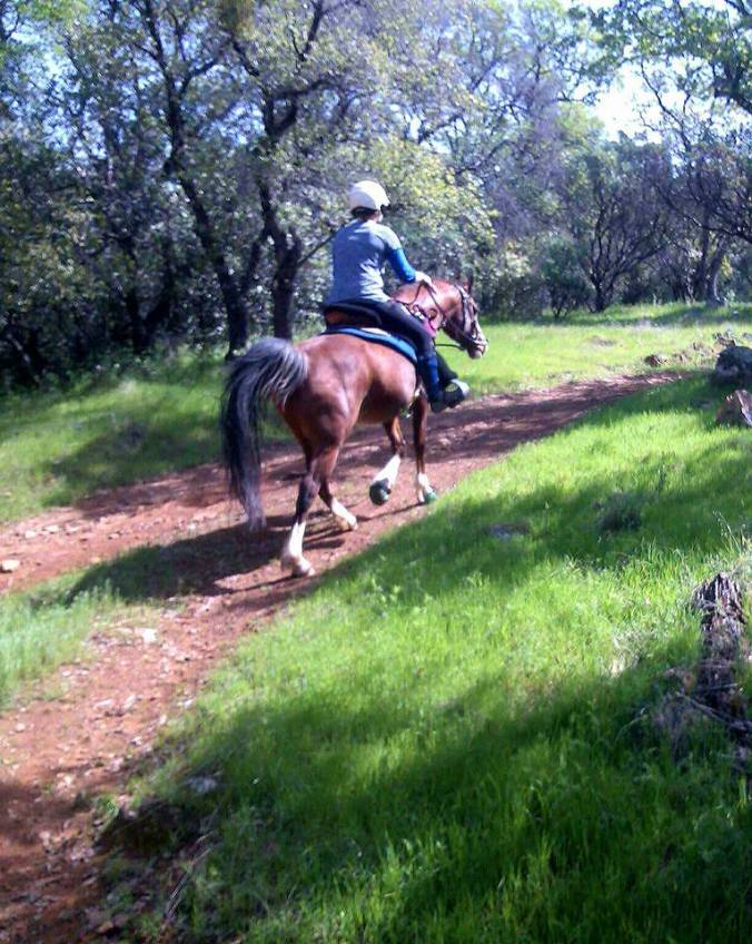 12321209_921618227796_4712887372295188480_n