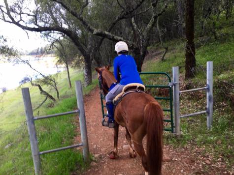 12524132_10207345478169129_2735118622306879106_n