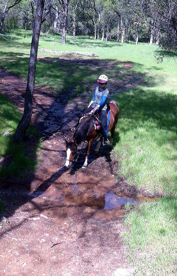 12744679_921618612026_1702559273414906446_n