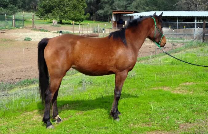 12792272_916341751896_8944965924099790992_o