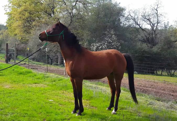 12794765_916341796806_276742026522781484_o