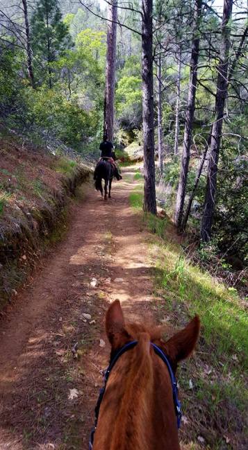 12919635_922239752256_4110407433162812513_n