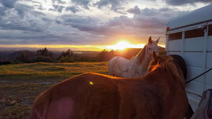 12919699_922240211336_1018724932674102830_n