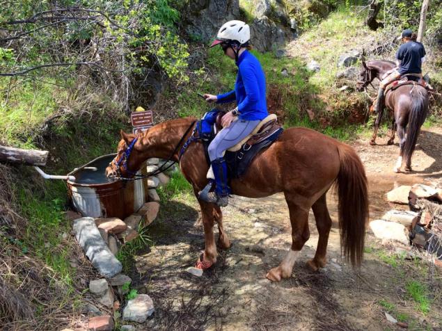 12920342_10207345474889047_5217171229315609161_n