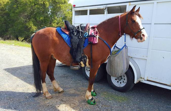 996993_921618167916_9127855343142615885_n