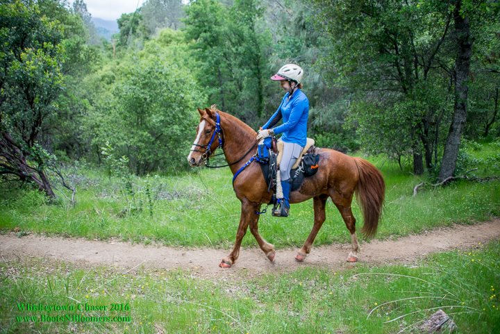 12974340_970211693064291_8639124089431926984_n