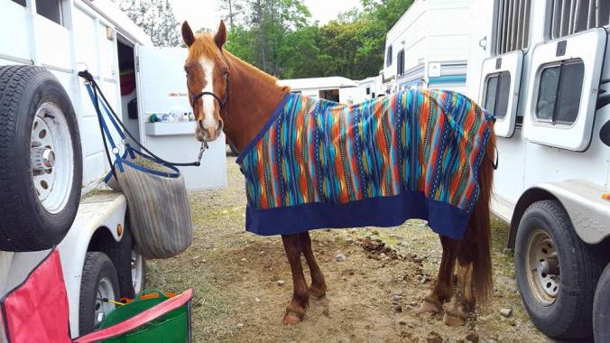 12974382_925214695446_2854302187152966413_n