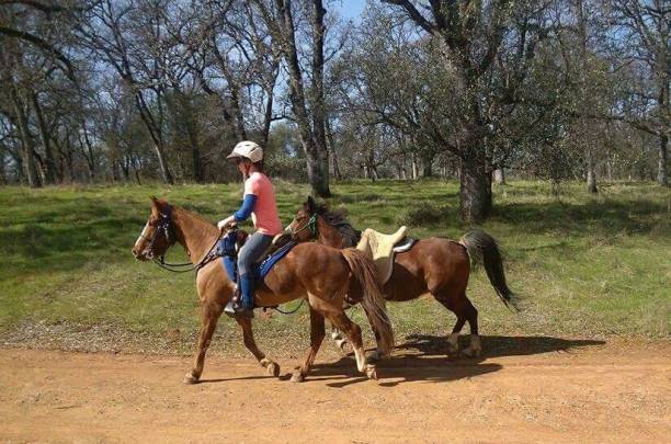 12980521_925922886226_224068298_n