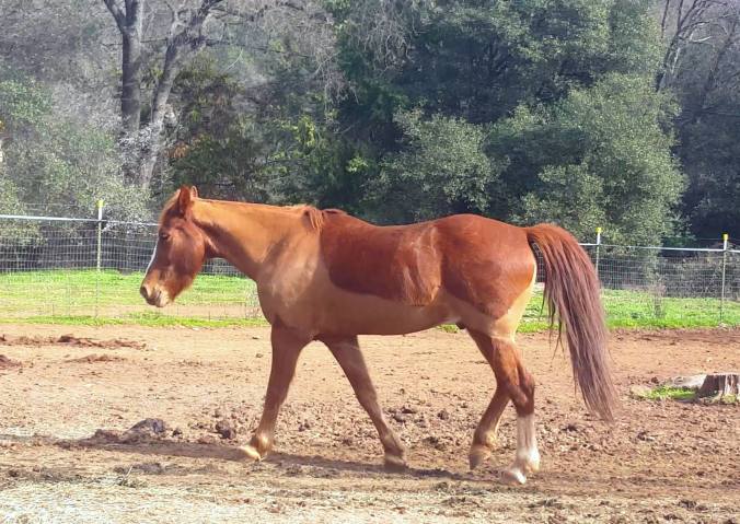 12980897_925923629736_1864171270_o