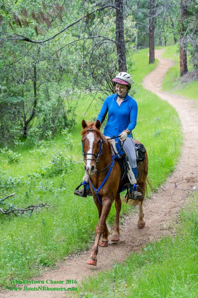 12983798_970211289730998_8800385737650514164_o