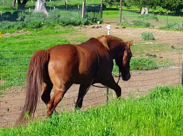 12986890_925929003966_23537936_o