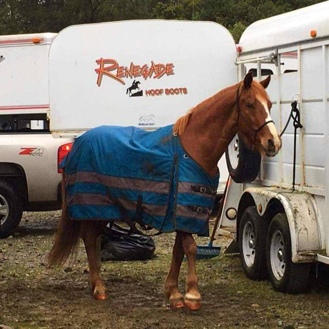 12990990_925877172836_4680891004507553333_n