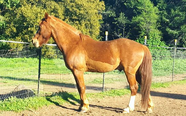 12992019_925930231506_468419404_o