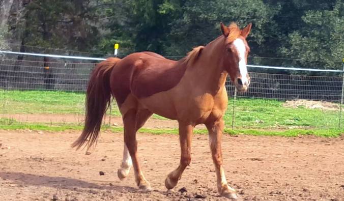 12999704_925923475046_351989167_o