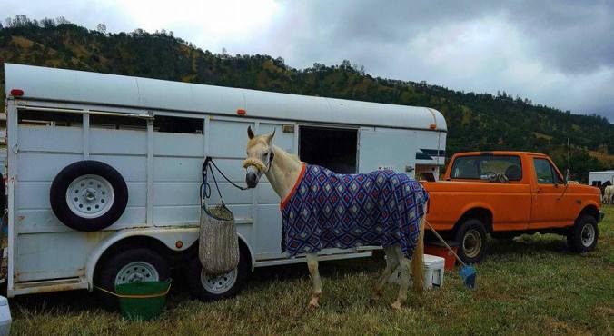 13102605_931575109126_18591251197926096_n