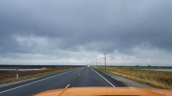 13119068_931575064216_8112342824323389233_n