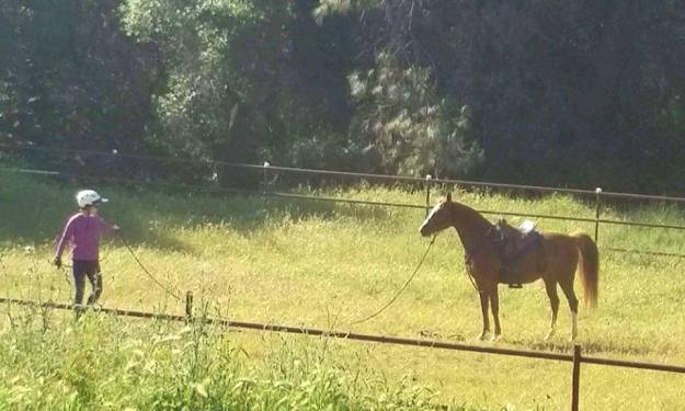 13151720_932509172256_1487546639501769525_n