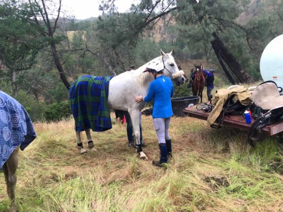 13166003_10207677772116270_6466942451828525578_n