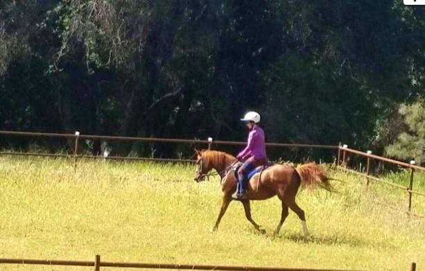 13217373_932509197206_8383485605237153141_o