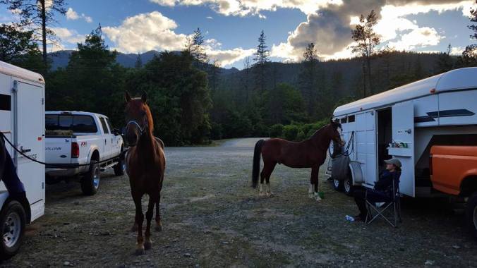 13240749_933151699626_7943987233695585056_n