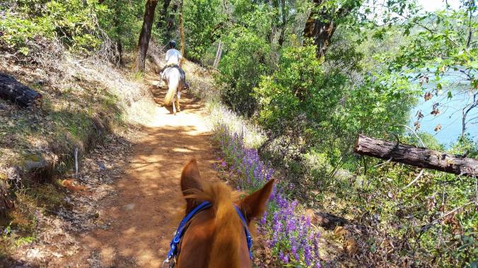 13241717_933224663406_1770394088_o