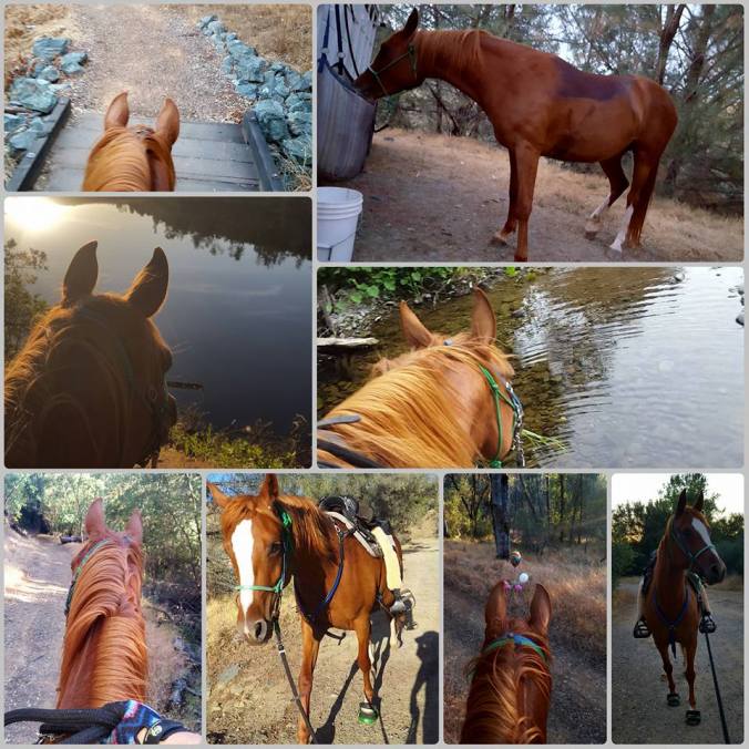 13332761_938171624656_2508180638587880974_n