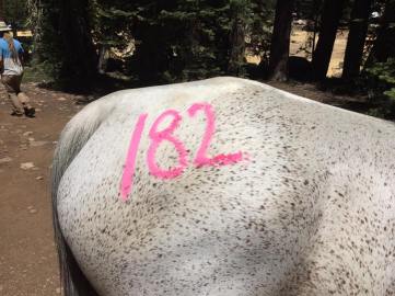 13707557_10202167508505820_655174390958804506_n