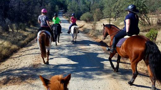 14729250_979322178616_3769656718584980428_n