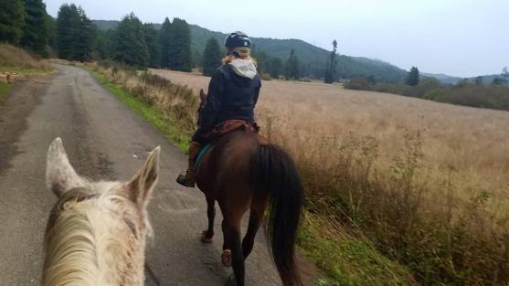 14915406_981471281796_4399778260065951113_n