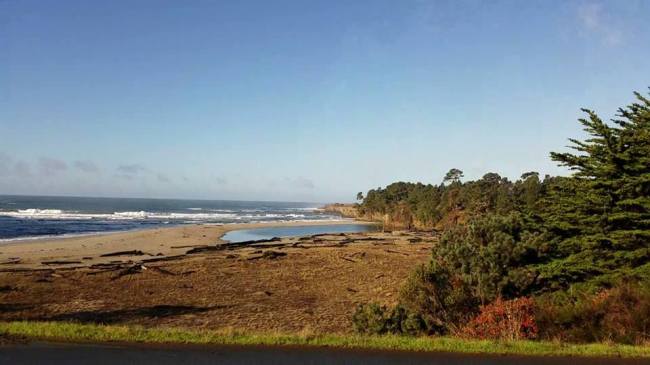 14937452_982339042796_8925860708818798009_n