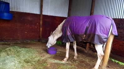 15326437_996893290966_3600631452509618008_n