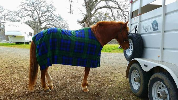 15380523_994721104046_3628951651901773998_n