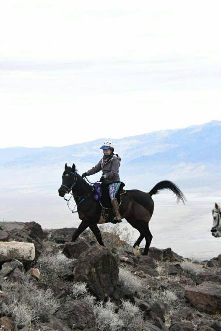 15825806_10100102051739566_8842844872061916055_n